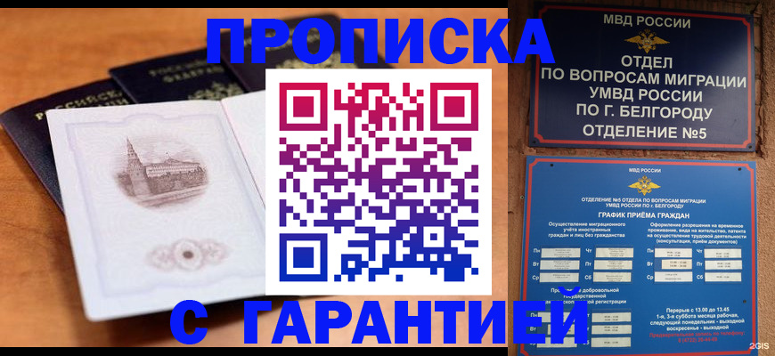 прописка поиск в Владивостоке